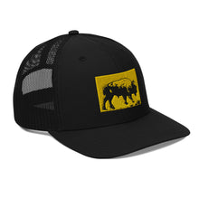 Load image into Gallery viewer, Bison Trucker Cap