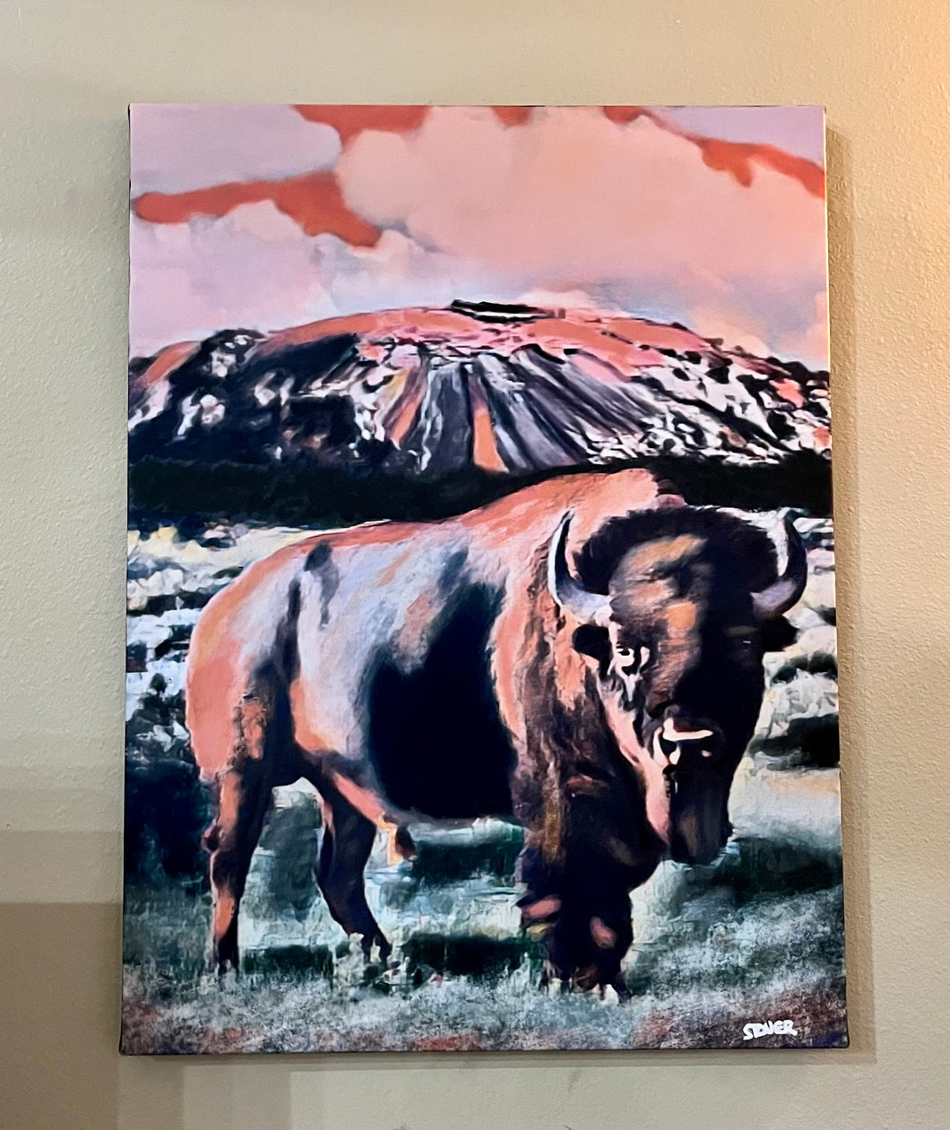 Bison at Enchanted Rock Signed Original 18” x 24”