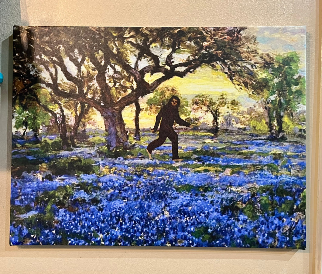 Squatch Bluebonnets Retro-Recreation 18” x 24” Canvas Print