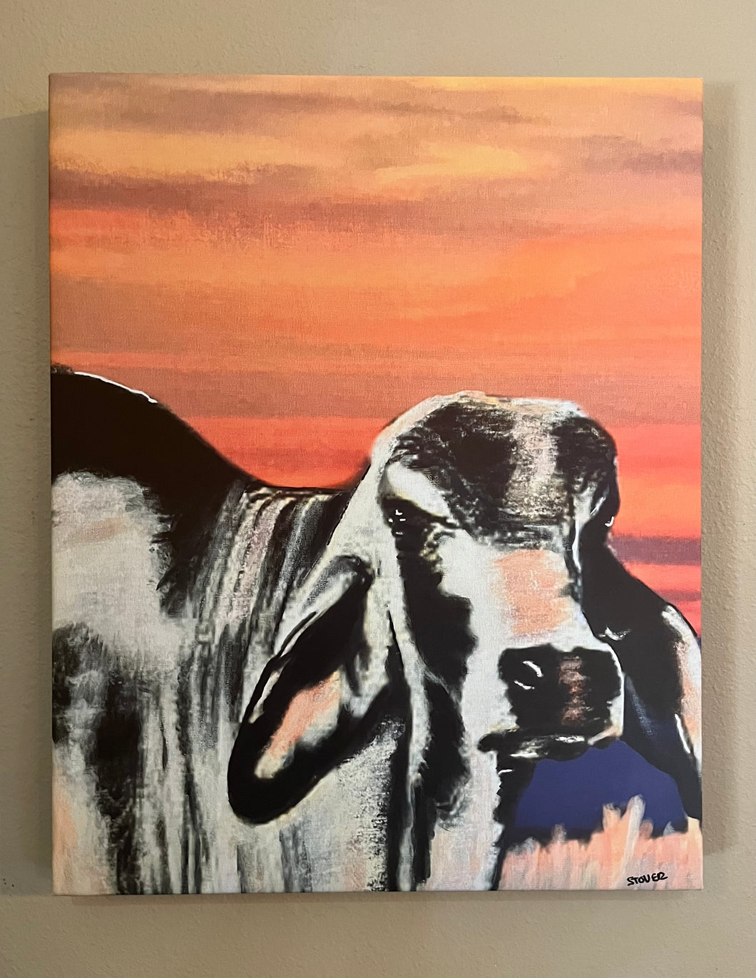 Brahman 16” x 20 Canvas Print