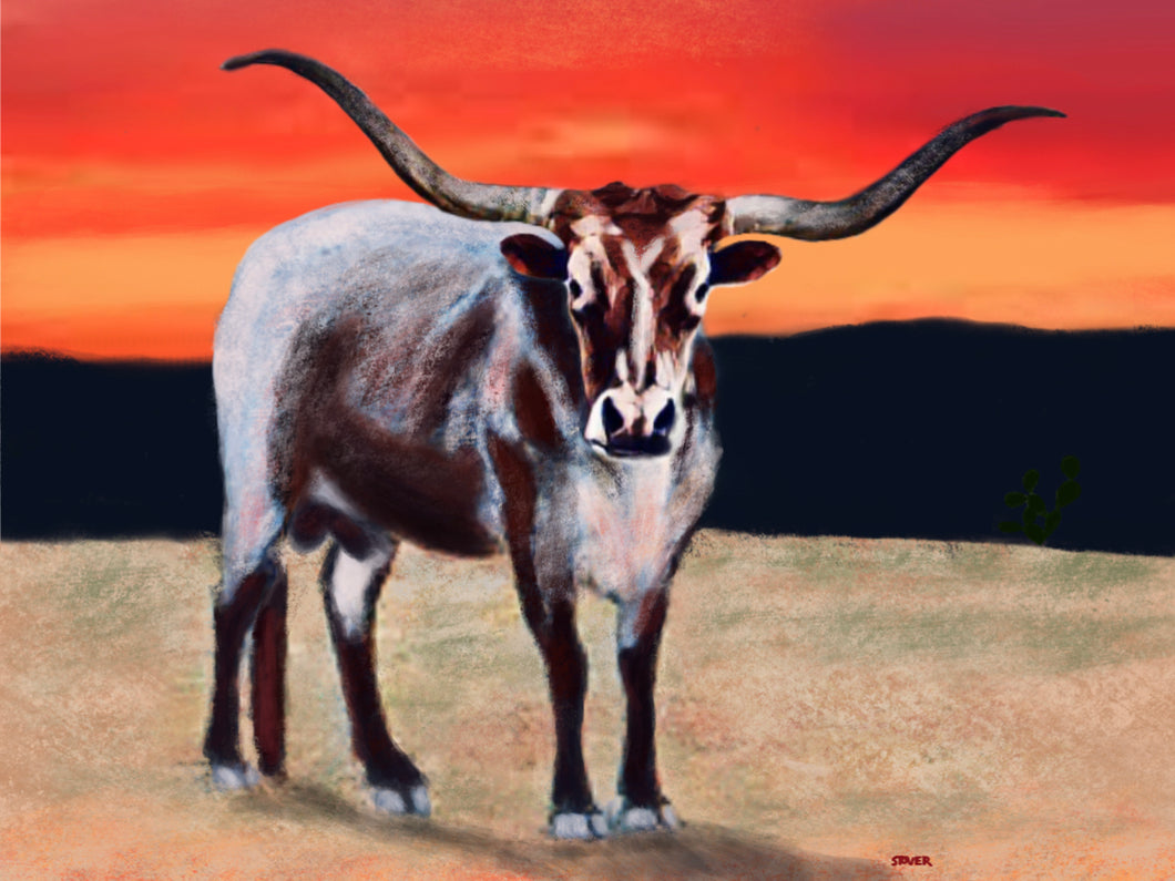 Red Longhorn Sunset 18” x 24” Canvas Print