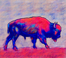 Load image into Gallery viewer, Bison 18&quot; x 24&quot; Canvas Print (Vibe Version)
